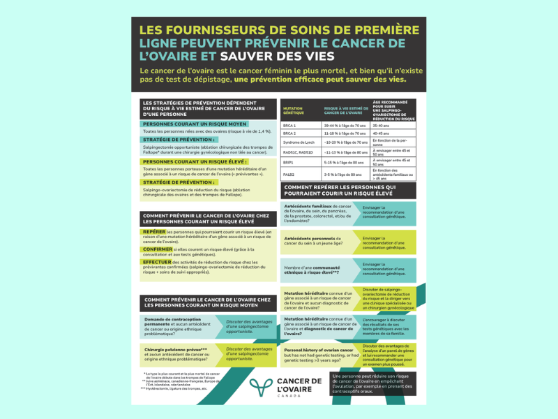 At a glance handout French